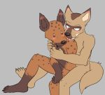  2019 anthro anthro_on_anthro beastars blush brown_body brown_fur canid canine canis coyote cuddling duo durham_(beastars) fur grey_background hi_res hyaenid interspecies licking male male/male mammal miguno_(beastars) nude on_lap shoulder_lick simple_background sitting sitting_on_lap spotted_hyena tongue tongue_out twiggyboyo 
