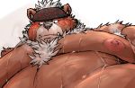  2020 anthro belly bodily_fluids brown_body brown_fur cute_fangs fur hi_res kemono kimun_kamui_(tas) kotobuki male mammal moobs nipples overweight overweight_male simple_background solo sweat tokyo_afterschool_summoners ursid video_games white_background 