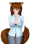  2019 3:4 :3 alpha_channel animal_humanoid blush bottomwear bra breasts brown_hair canid canid_humanoid canine canine_humanoid cleavage clothed clothing embarrassed female freckles green_eyes hair hi_res hoolyx humanoid looking_away mammal mammal_humanoid pants shirt simple_background slit_pupils topwear translucent translucent_clothing transparent_background underwear wolf_humanoid 
