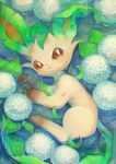 brown_eyes brown_sclera closed_mouth commentary_request gen_4_pokemon highres kikuyoshi_(tracco) leaf leafeon looking_at_viewer looking_up lying no_humans on_side partially_submerged pokemon pokemon_(creature) rain solo water 