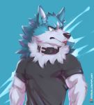  absurd_res anthro biceps biped blep blue_body blue_fur brand_new_animal canid canine canis clothed clothing collar flunky fur hi_res inner_ear_fluff male mammal muscular muscular_anthro muscular_arms muscular_male pecs shirou_ogami simple_background solo studio_trigger text tongue tongue_out triceps tuft url were werecanid werecanine werewolf white_body white_fur wolf 