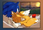  absurd_res anthro canid canine clothing duo eulipotyphlan footwear fox fur gloves grass handwear hedgehog hi_res male mammal miles_prower mountain pillow skyeprower sleeping sonic_the_hedgehog sonic_the_hedgehog_(series) sun video_games window 