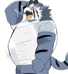  2020 anthro balls clothing erection erection_under_clothing eyes_closed felid genitals hyaku_(artist) kemono male mammal overweight overweight_male pantherine shirt simple_background solo tiger tired topwear white_background 