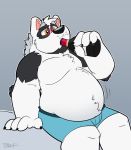  2020 anthro belly black_body black_fur canid canine canis clothing fur giant_panda hybrid male mammal navel overweight overweight_male simple_background sitting solo thepandobo underwear ursid white_body white_fur wolf 