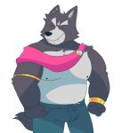  adastra amicus_(adastra) anthro canid canine canis clothed clothing echo_project hi_res male mammal nipples soildweller solo topless video_games visual_novel wolf 