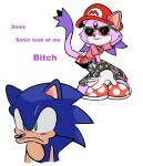  2022 absurd_res angry blaze_the_cat domestic_cat eyewear felid feline felis hi_res humor mammal mario_bros nintendo sega simple_background sonic_the_hedgehog sonic_the_hedgehog_(series) spinstellar sunglasses video_games white_background 