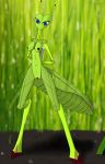  absurd_res antennae_(anatomy) anthro areola arthropod big_butt blade blue_eyes blurred_background breasts butt danger dangerous female genitals green_body green_skin hi_res insect long_legs looking_at_viewer mantis nipples pussy shazarc solo stare thin_waist wide_hips 