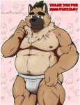  2020 anthro belly brown_body brown_fur bulge canid canine canis clothing domestic_dog fur goujuyu hi_res jockstrap kemono male mammal moobs navel nipples overweight overweight_male scar solo tokyo_afterschool_summoners underwear video_games yasuyori 