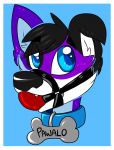  anthro ball_gag canid canine canis collar collar_tag domestic_dog elkhound gag gagged headshot headshot_portrait hi_res icefire male mammal muzzle_(object) muzzled pawalo portrait solo spitz 