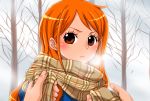  1girl bangs blush brown_eyes closed_mouth frown highres long_hair looking_at_viewer nami_(one_piece) one_piece orange_hair plaid plaid_scarf pov scarf shiny shiny_hair swept_bangs upper_body winter yamadaenako 