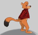  anthro black_body black_fur black_tail bottomless butt checkered_shirt clothed clothing flannel fur hi_res mammal mustela mustelid musteline oleo orange_body orange_fur orange_tail pink_sclera plaid red_clothing red_topwear shadow solo standing topwear two_tone_tail 