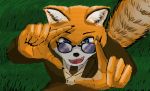  anthro canid canine clothing eyewear fox glasses hi_res lawn male mammal night sky solo suit unknown_artist 
