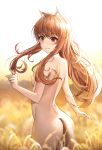  1girl animal_ears bangs blurry blurry_background breasts brown_hair commentary_request day eyebrows_visible_through_hair fang from_behind highres holo long_hair looking_at_viewer nude outdoors red_eyes skin_fang small_breasts smile solo spice_and_wolf suou-sensei tail wolf_ears wolf_tail 