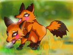  4:3 anthro canid canine duo female flirting fox fur male male/female mammal nickit nintendo pok&eacute;mon pok&eacute;mon_(species) sex video_games 