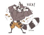  2020 anthro big_muscles bottomwear cargo_shorts clothing colored empty_eyes fingerless_gloves flexing fluffy fluffy_tail gloves grin guardians_of_the_galaxy handwear male mammal marvel muscular muscular_male procyonid raccoon raised_arm rocket_raccoon short_stack shorts simple_background smile solo spookspk standing torn_clothing 