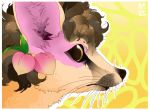  ambiguous_gender black_nose bordered_background canid canine curled_hair dark_eyes eyebrows feral food fox fruit fur gigiolliwilli gradient_background hair hybrid inner_ear_fluff japanese_text leaf mammal multicolored_hair original_character_do_not_steal peach_(fruit) pink_body pink_fur plant simple_background solo tan_body tan_fur text tuft whiskers yellow_eyes 