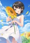  1girl :d aqua_eyes black_hair blue_sky blush cloud cloudy_sky cowboy_shot dated day dress flower hair_ornament happy_birthday highres hololive looking_at_viewer oozora_subaru open_mouth shigure_ui short_hair sky sleeveless sleeveless_dress smile solo sunflower symbol_commentary virtual_youtuber white_dress 