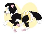  2016 black_body black_fur blep blue_eyes border_collie canid canine canis collie diaper domestic_dog feral fur furgonomics herding_dog looking_at_viewer male mammal paddedpaws pastoral_dog pawpads pink_pawpads sheepdog solo tongue tongue_out white_body white_fur 