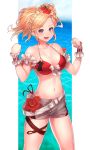  amira_(shingeki_no_bahamut) bikini garter shingeki_no_bahamut:_genesis swimsuits tagme 