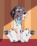  101_dalmatian_street 101_dalmatians 2019 4_toes absurd_res animal_genitalia animal_pussy canid canine canine_pussy canis collar dalmatian delilah_(101_dalmatians) disney domestic_dog female feral genitals hi_res hindpaw mammal paws psy101 pussy solo spots toes 