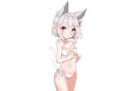  animal_ears blush bra breasts catgirl choker cleavage gray_hair kokkoro panties pointed_ears princess_connect! purple_eyes short_hair tail underwear w.k white 