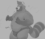  2020 ailurid anthro belly bulge clothing hi_res humanoid_hands male mammal minedoo moobs overweight overweight_male red_panda simple_background solo underwear 