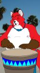  9:16 absurd_res andrew_the_fox anthro beach canid canine chubby_male clothed clothing drum florida fox hi_res male mammal meandandrewthefox musical_instrument overweight overweight_male percussion_instrument playing_music seaside slightly_chubby solo topless 