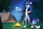  2020 4_fingers 4_toes anthro blue_body blue_fur canid canine detailed_background digital_media_(artwork) digitigrade fingers fire fox fur grass male mammal night outside sepiapaws sky smile solo star starry_sky toes 