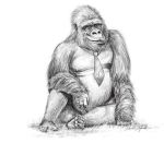  2020 ape danielle_dufault donkey_kong_(character) donkey_kong_(series) erect_nipples gorilla graphite_(artwork) haplorhine logo looking_at_viewer male mammal monochrome musclegut necktie nintendo nipples pencil_(artwork) primate simple_background sitting sketch solo traditional_media_(artwork) video_games white_background 