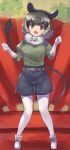  1girl :d animal_ears bangs belt black_eyes black_shorts boot_bow boots bow bow_footwear bowtie degu_(kemono_friends) eyebrows_visible_through_hair full_body fur_collar gloves green_hair green_shirt hands_up juliet_sleeves kemono_friends legwear_under_shorts long_sleeves looking_at_viewer open_mouth pantyhose puffy_sleeves shirt short_hair shorts smile solo standing tadano_magu tail white_bow white_footwear white_gloves white_hair white_legwear white_neckwear 
