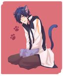  akiyoshi_(tama-pete) animal_ears bad_id bad_pixiv_id blue_eyes blue_hair cat_ears cat_tail fang kaito male_focus sitting solo tail vocaloid 