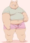  2020 anthro belly bottomwear brown_body brown_fur bulge canid canine canis clothing domestic_dog fur kemono male mammal meg_hoi navel overweight overweight_male shirt shorts simple_background solo topwear underwear 