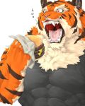  abs anthro burger captainjohkid claws clothed clothing eating felid food fur hi_res male mammal muscular muscular_anthro muscular_male open_mouth pantherine simple_background tiger 
