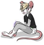  2012 anthro black_clothing black_shirt black_topwear blonde_hair clothing diaper ear_piercing fur grey_body grey_fur hair kalida looking_at_viewer male mammal mouse murid murine piercing pink_nose purple_eyes rodent shirt simple_background sitting solo topwear 