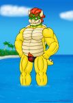  anthro beach body_hair bowser bulge clothing cloud hair hi_res horn koopa male mario_bros musclegut nintendo nipples outside partially_submerged red_hair scalie seaside shell smile solo speedo swimwear video_games vjmorales 