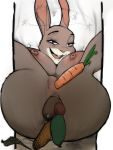  3:4 anal anal_penetration anthro anus breasts carrot corn disney doublecobra female food food_fetish food_insertion food_play fur genitals grey_body grey_fur hi_res improvised_dildo improvised_sex_toy judy_hopps lagomorph leporid looking_at_viewer lying mammal nipples on_back penetration plant purple_eyes pussy rabbit smile smiling_at_viewer solo star vaginal vaginal_penetration vegetable white_body white_fur zootopia 