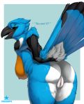  2020 anthro avian beak bird blue_body blue_eyes blue_feathers breasts butt english_text feathers female genitals hi_res nipples nude pussy solo text truegrave9 