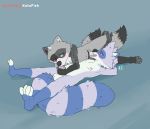 69_position absurd_res anthro anthro_on_anthro anthro_penetrated anthro_penetrating anthro_penetrating_anthro balls black_body black_fur black_tail blue_body blue_fur blue_tail blush facial_markings fur genitals grey_body grey_ears grey_fur grey_tail head_markings hi_res katxfish looking_at_another lying male male/male male_penetrated male_penetrating male_penetrating_male mammal markings mask_(marking) mismatched_ears nipples on_back on_side oral oral_penetration penetration penile penile_penetration penis procyonid raccoon ringtail sex tongue young 