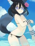  1girl :&lt; air_bubble animal_ear_fluff animal_ears bangs bikini black_bikini black_hair blue_sky blush breasts bubble cleavage closed_mouth cloud commentary_request day eyebrows_visible_through_hair fox_ears fox_girl fox_tail hair_between_eyes looking_at_viewer medium_breasts navel original outdoors paprika_shikiso purple_eyes side-tie_bikini sky solo swimsuit tail tail_raised wading water wristband 