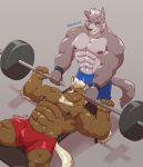  2020 abs absurd_res anthro arm_tuft barbell bench_press biceps big_bulge big_muscles black_nipples blue_eyes bodily_fluids bottomwear brown_body brown_fur bulge canid canine canis clothed clothing conal_(character) duo elbow_tufts equid equine exercise fur grey_hair hair hi_res horse jumperbear male male/male mammal muscular muscular_male nipple_piercing nipple_ring nipples pecs piercing quads shorts sweat tattoo topless triceps tuft weightlifting white_hair wolf workout wristband zeeme 