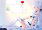  1girl animal_ears bangs bare_shoulders cat_ears cat_tail day eyebrows_visible_through_hair flower gloves indoors long_hair looking_at_viewer original profile red_eyes red_flower red_rose rose sitting solo tail thighhighs white_gloves white_hair white_legwear window zizi_(zz22) 