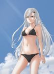  1girl absurdres barrette bikini bikini_top black_bikini blue_sky breasts girls_frontline green_eyes grey_hair highres long_hair navel silver_hair simple_background sky skyblue small_breasts solo_focus stomach svd_(girls_frontline) swimsuit 