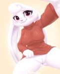  absurd_res anthro breasts clothed clothing clothing_lift female fur genitals hi_res lagomorph leporid long_ears looking_at_viewer mammal no_underwear psakorn_tnoi pussy rabbit solo spread_legs spreading sweater teasing topwear white_body white_fur 