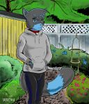  anthro bell bell_collar biped bottomwear clothed clothing collar digital_media_(artwork) domestic_cat drap european_wildcat eyebrows felid feline felis fence flower flower_petals fluffy fluffy_tail front_view frown full-length_portrait fur garden hair hands_in_pockets hi_res hoodie jeans looking_at_viewer male mammal multicolored_body outside pants petals plant pockets portrait shaded signature solo standing tanukiboss_(artist) topwear tree wildcat 