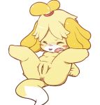  accessory animal_crossing anthro anus biped black_nose blonde_hair blush breasts butt canid canine canis clitoris domestic_dog edit eyes_closed female fur genitals hair hair_accessory hairband isabelle_(animal_crossing) kimubota lying mammal navel nintendo nipples nude on_back open_mouth pussy shih_tzu short_hair simple_background solo spread_legs spreading toy_dog video_games white_background white_body white_fur yellow_body yellow_fur 