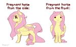  2020 :i belly big_belly blue_eyes english_text equid equine evehly female feral fluttershy_(mlp) friendship_is_magic hasbro hooves looking_at_viewer mammal my_little_pony pegasus pregnant quadruped solo standing text wings 