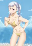  1girl bikini black_clover breasts brown_bikini cleavage collarbone english_commentary facu10mag hand_on_hip highres large_breasts light_blush long_hair looking_at_viewer navel noelle_silva ocean purple_eyes silver_hair solo swimsuit twintails 