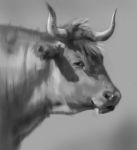  2017 ambiguous_gender black_eyes bovid bovine cattle feral fur grey_background greyscale hair horn mammal monochrome not_furry pimpartist simple_background solo standing traditional_media_(artwork) 