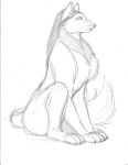  black_eyes black_nose canid canine canis claws female feral fluffy fluffy_tail fur hair inner_ear_fluff mammal max_blackrabbit monochrome paws raven_hunt simple_background sitting sketch solo traditional_media_(artwork) tuft whiskers white_background wolf 