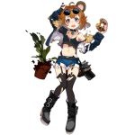  1girl ahoge alternate_costume animal_ears bear_ears bear_girl belt_boots black_footwear black_legwear boots breasts brown_hair copyright_name cropped_jacket damaged denim denim_shorts doughnut food full_body garter_straps girls_frontline grizzly_mkv_(girls_frontline) gun handgun holding holding_food holster jacket navel official_art open_clothes open_jacket open_mouth pistol plant potted_plant purple_eyes realmbw shadow short_hair short_shorts shorts small_breasts solo standing strap_slip sunglasses tank_top thighhighs torn_clothes torn_legwear transparent_background wavy_mouth weapon younger 